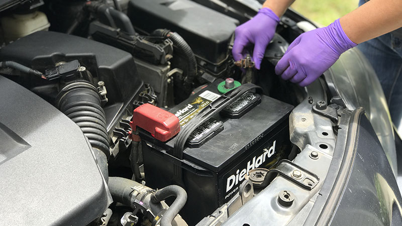 a woman's hands in purple nitrile gloves connect the negative terminal on a new car battery
