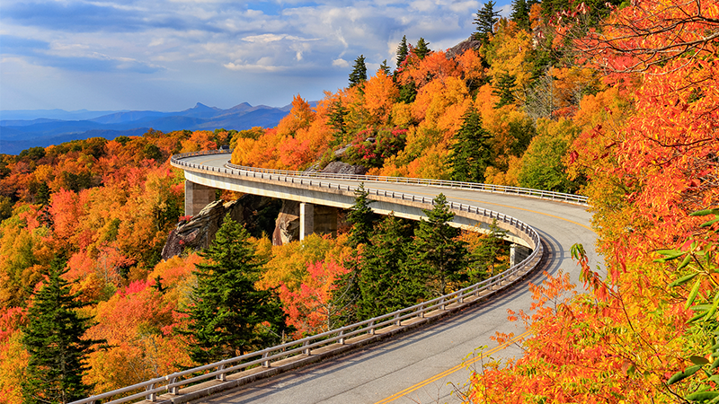 a view of the Blue Ridge Parkway with bright fall leaves