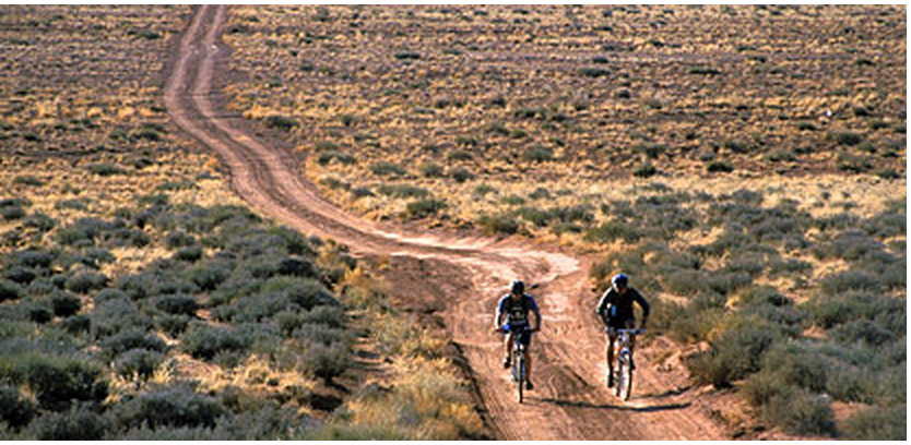 Two bicyclists cycling along White Rim Road 